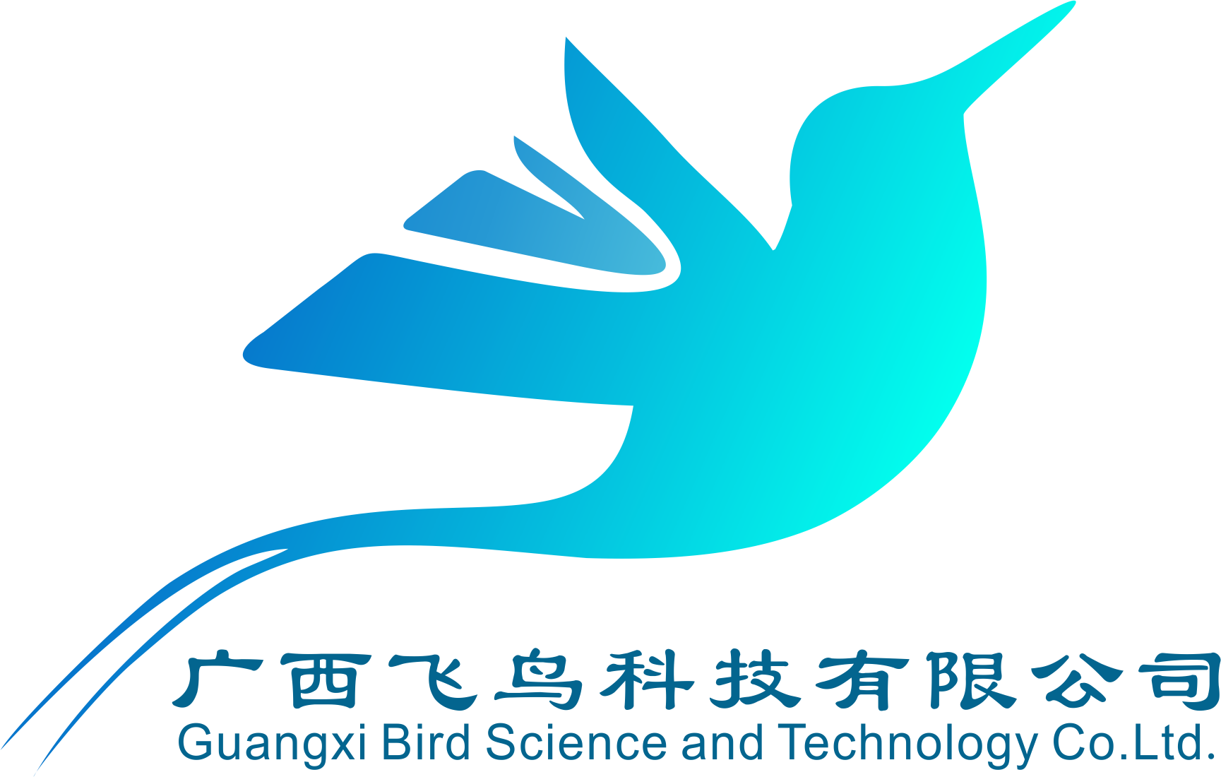 广西飞鸟科技有限公司